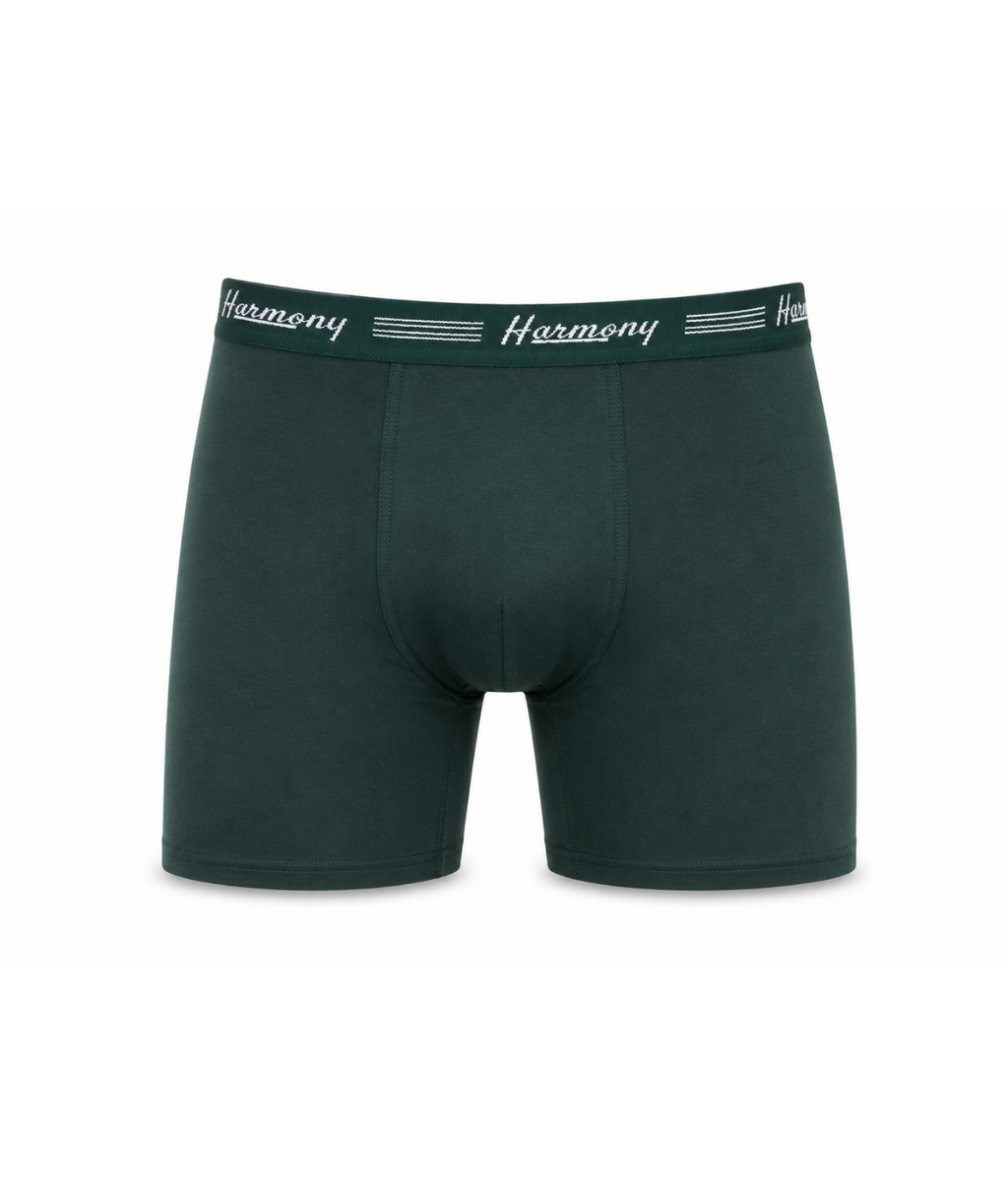 Cueca Boxer Long Leg Poliéster Verde Harmony