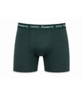 Cueca Boxer Long Leg Poliéster Verde Harmony