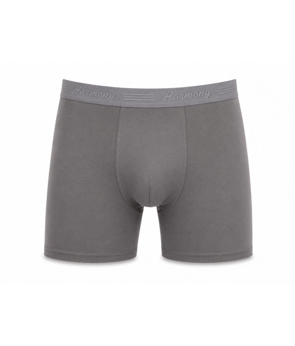 Cueca Boxer Long Leg Poliéster Chumbo Harmony