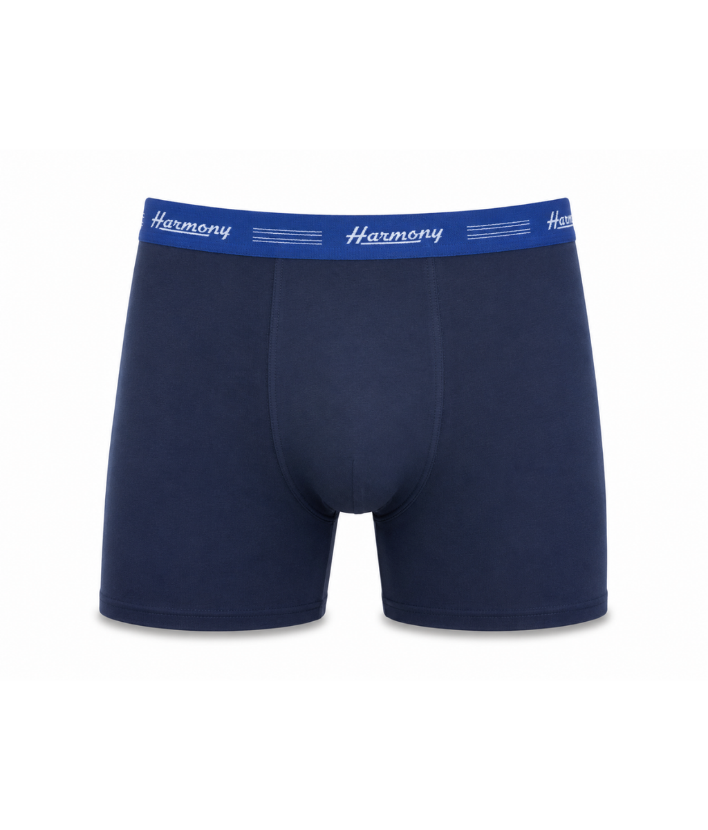 Cueca Boxer Long Leg Poliéster Azul Harmony