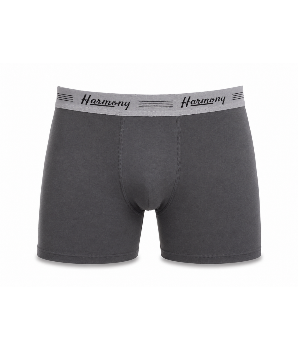 Cueca Boxer Long Leg Cotton Chumbo Harmony
