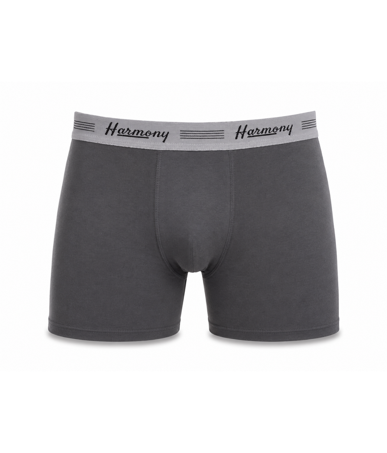 Cueca Boxer Long Leg Cotton Chumbo Harmony
