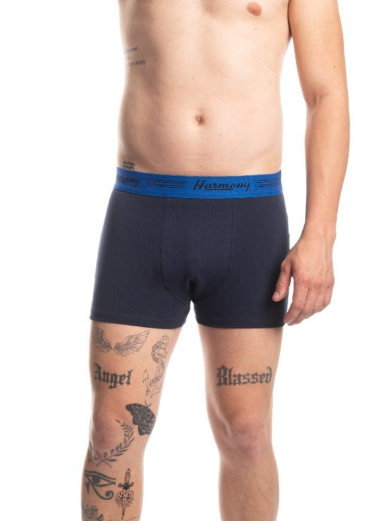 Cueca Boxer Cotton Azul Harmony