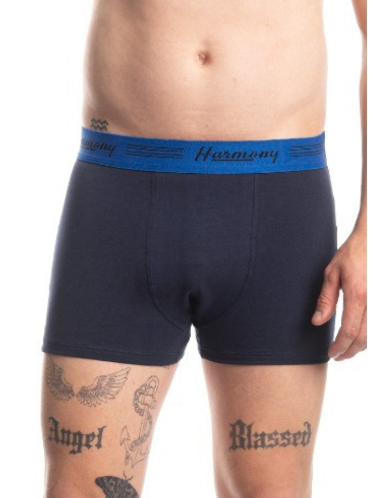 Cueca Boxer Cotton Azul Harmony