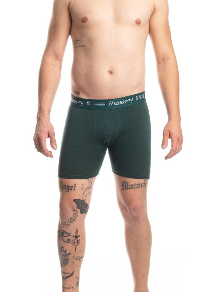 Cueca Boxer Long Leg Poliéster Verde Harmony