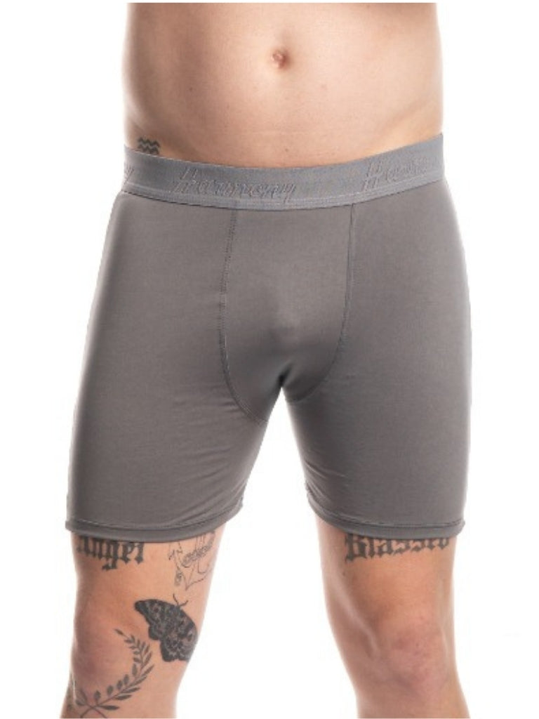 Cueca Boxer Long Leg Poliéster Chumbo Harmony