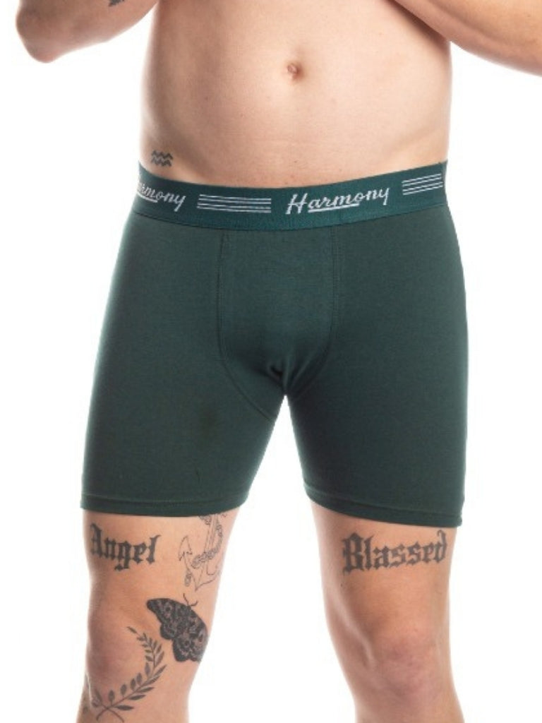 Cueca Boxer Long Leg Cotton Verde Harmony