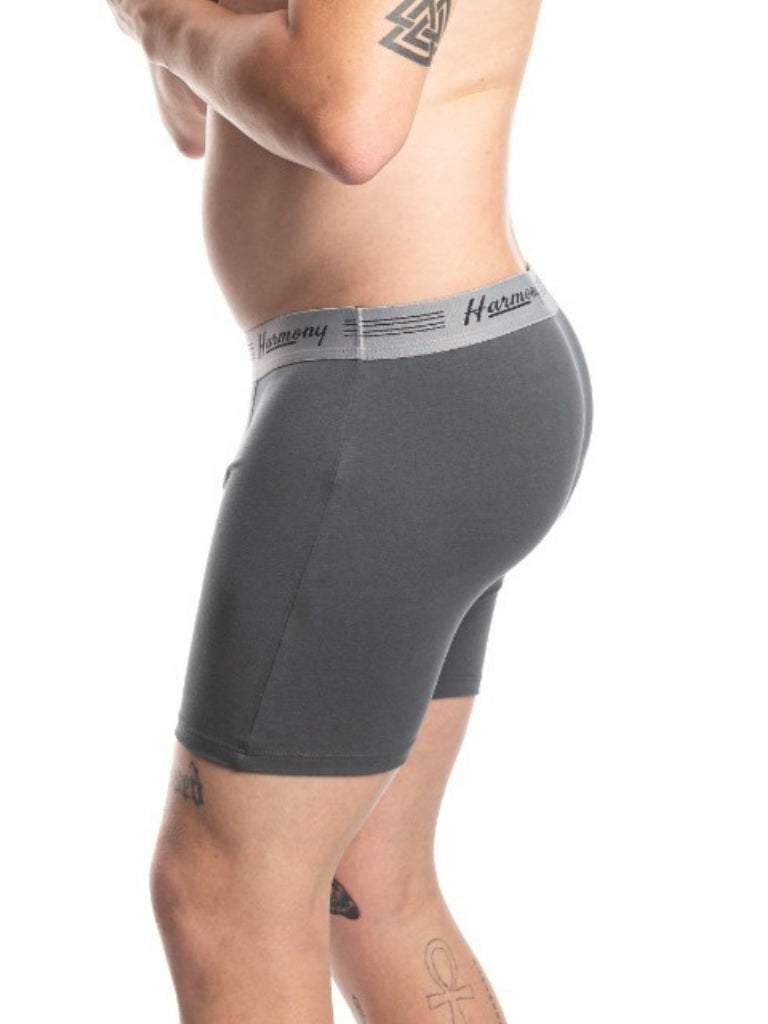 Cueca Boxer Long Leg Cotton Chumbo Harmony