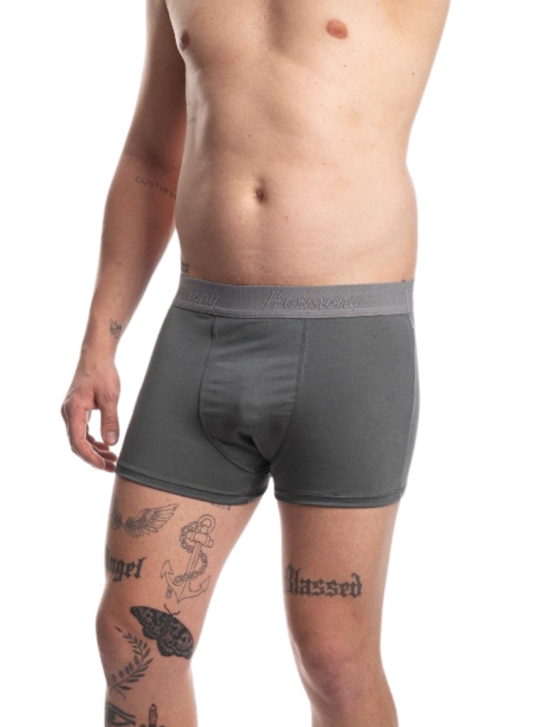 Cueca Boxer Poliéster Chumbo Harmony
