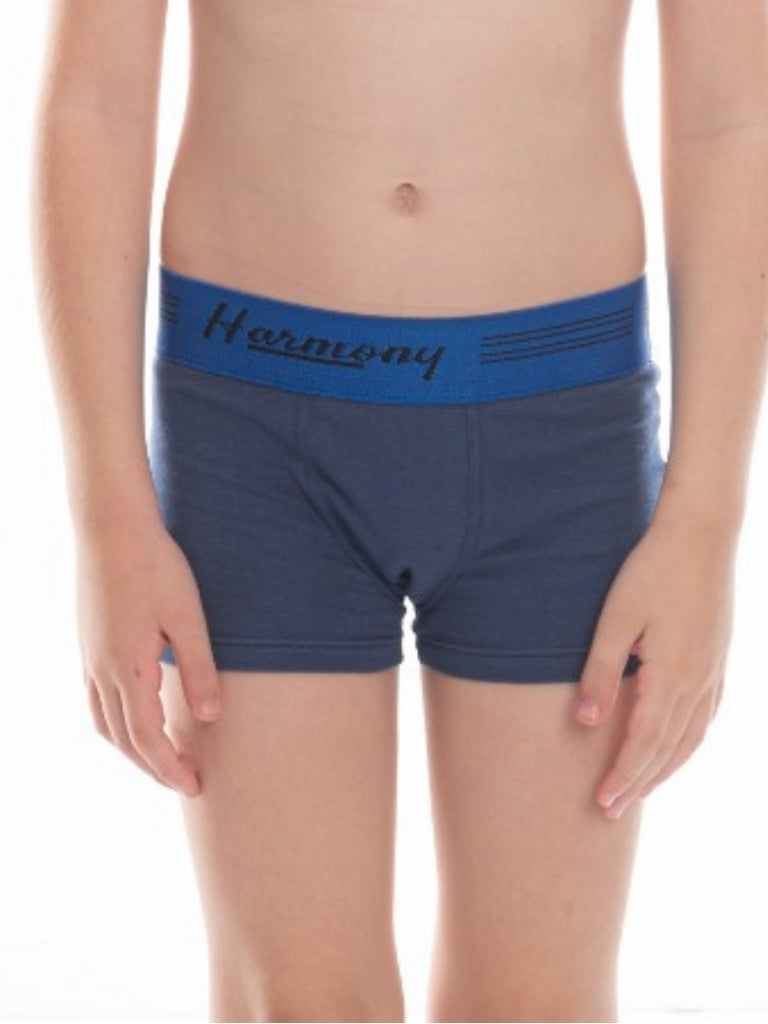 Cueca Boxer Infantil Cotton Azul Harmony
