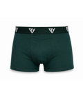 Cueca Boxer Cotton Verde Harmony