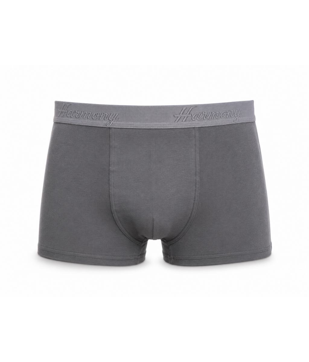 Cueca Boxer Poliéster Chumbo Harmony