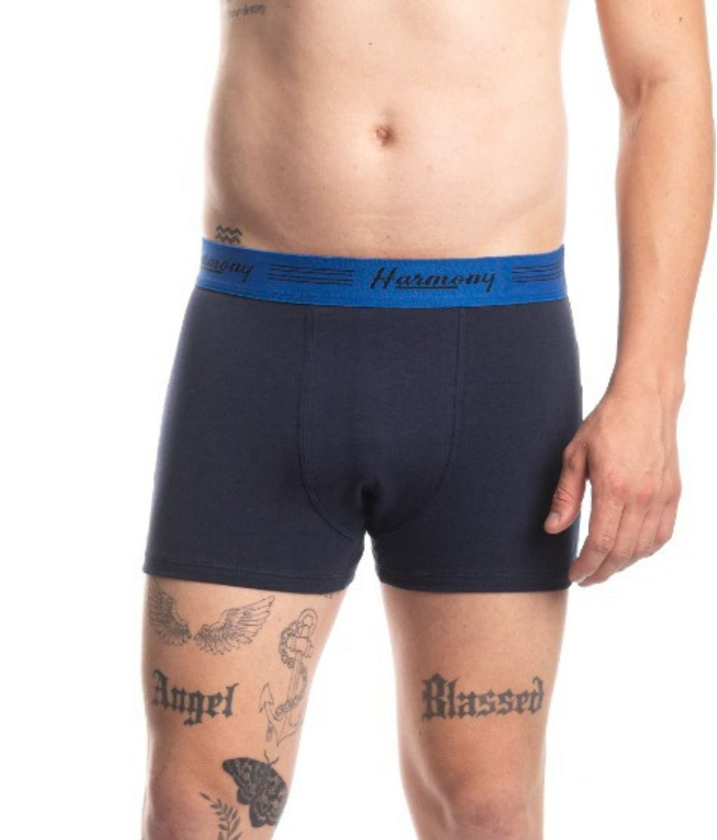 Kit 3 Cuecas Boxer Poliéster Azul Harmony