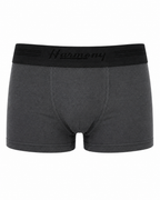 Cueca Boxer Infantil Cotton Chumbo Harmony